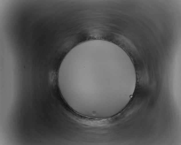 X0000097850036200803201547