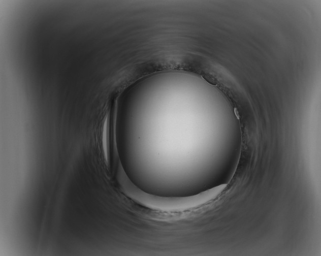 X0000097850037200803201547