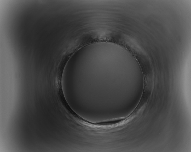 X0000097850039200803201547