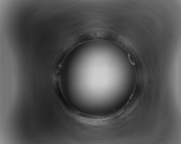 X0000097850040200803201547