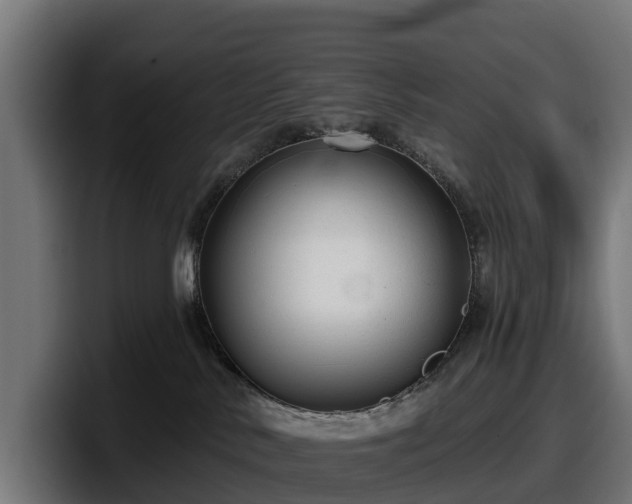 X0000097850042200803201547