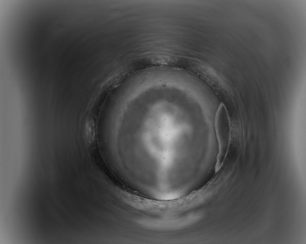 X0000097850043200803201547