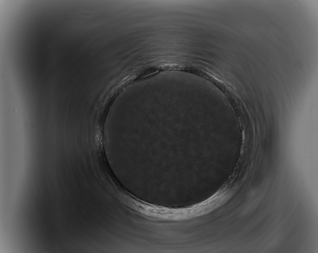 X0000097850048200803201546