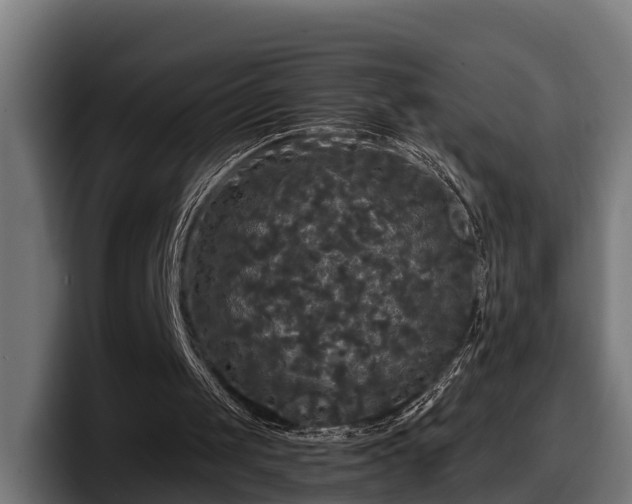 X0000097850049200803201546