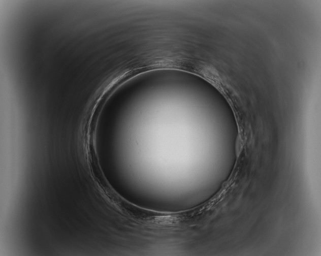 X0000097850050200803201546