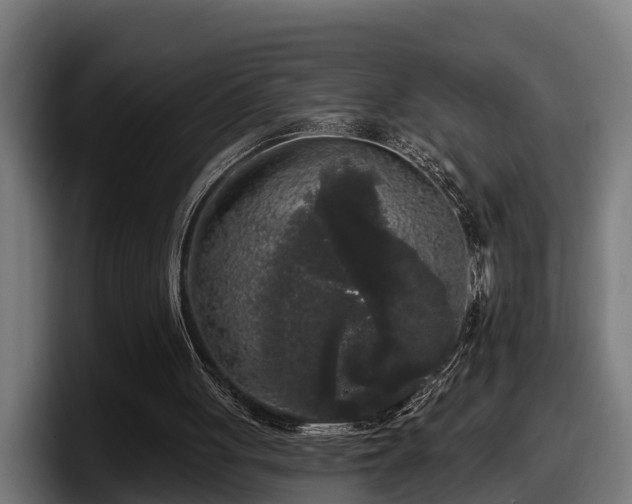 X0000097850051200803201546