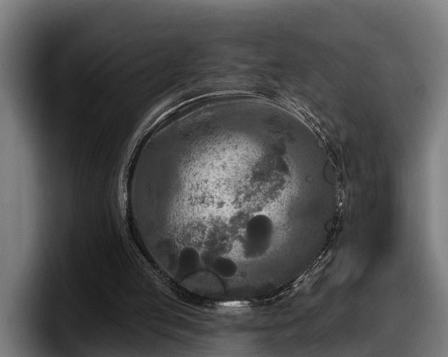 X0000097850053200803201546