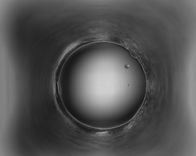 X0000097850054200803201546