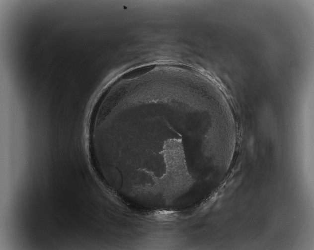 X0000097850055200803201546