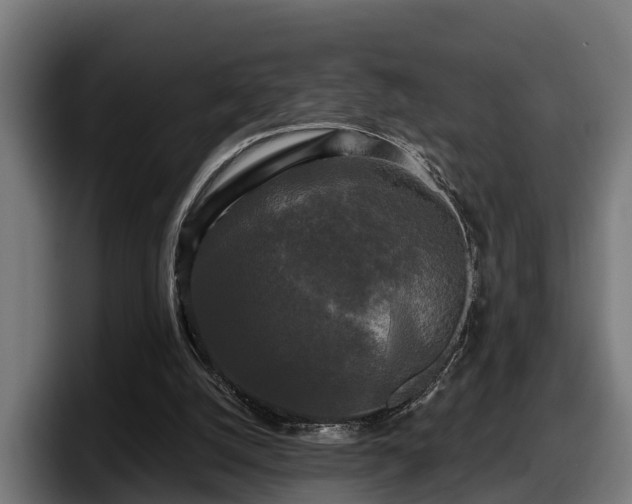 X0000097850056200803201546