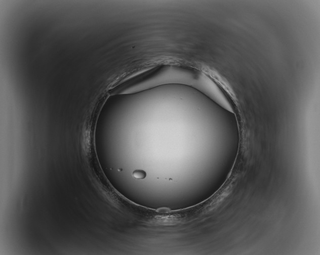 X0000097850057200803201546