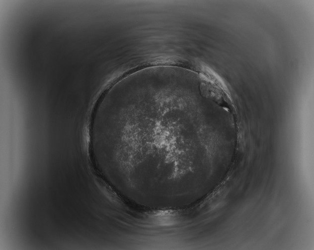 X0000097850059200803201546