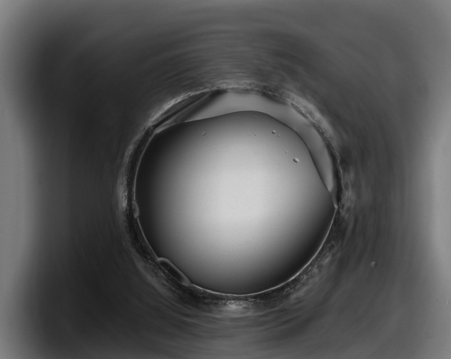 X0000097850060200803201546