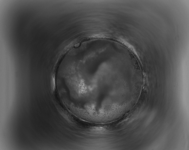 X0000097850061200803201546