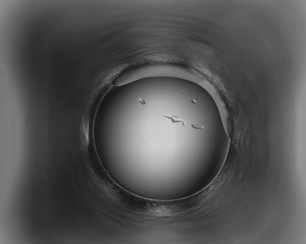 X0000097850062200803201546