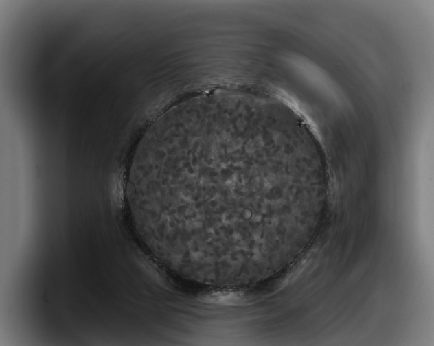 X0000097850065200803201546