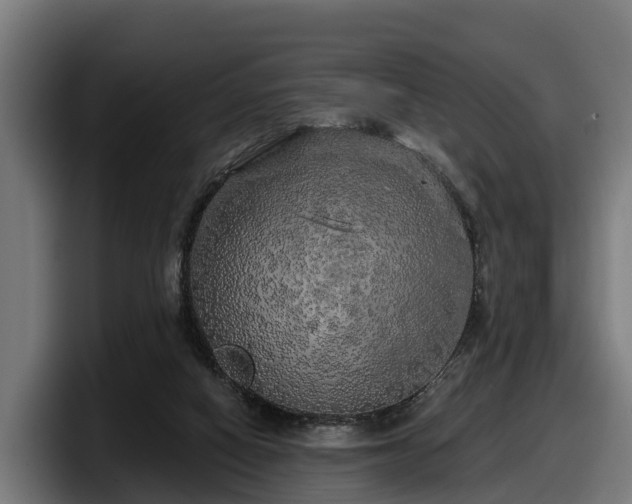 X0000097850066200803201546