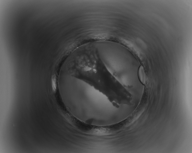 X0000097850069200803201546