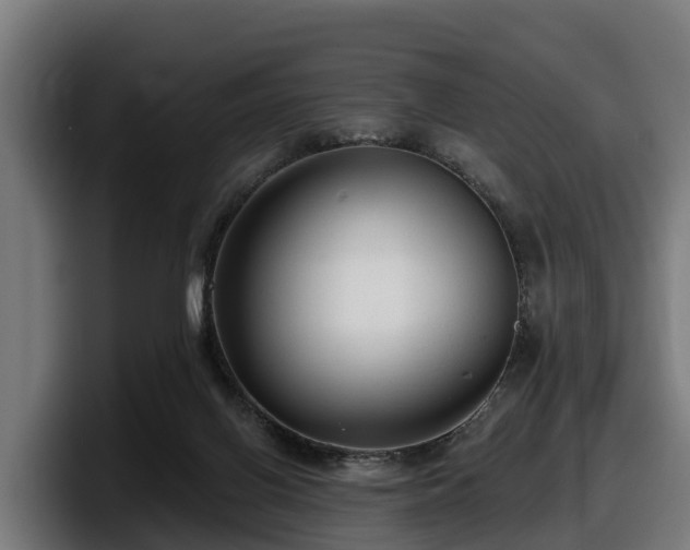 X0000097850070200803201546