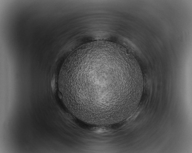 X0000097850074200803201546