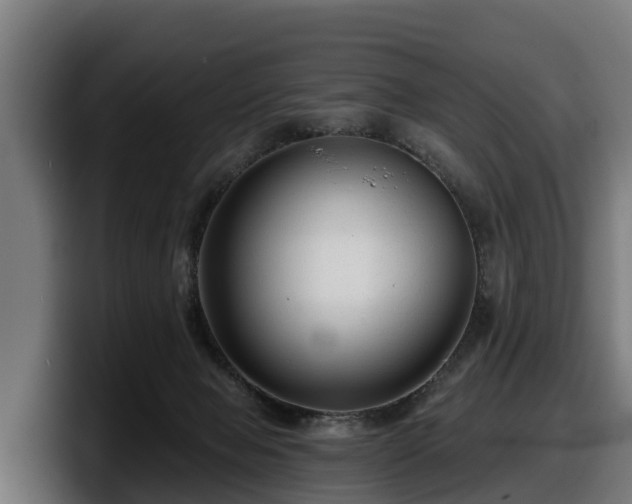 X0000097850077200803201546