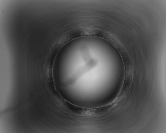 X0000097850078200803201546