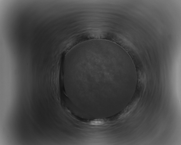 X0000097850080200803201546