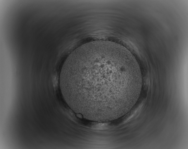 X0000097850081200803201546