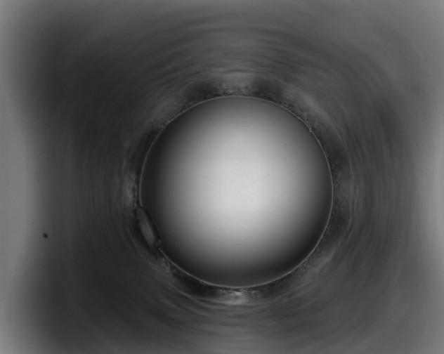 X0000097850083200803201546