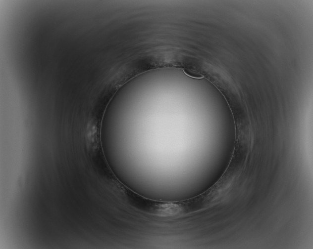 X0000097850087200803201546