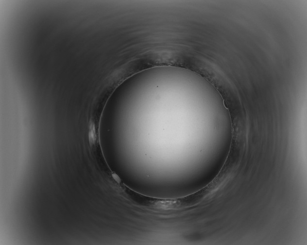 X0000097850089200803201546