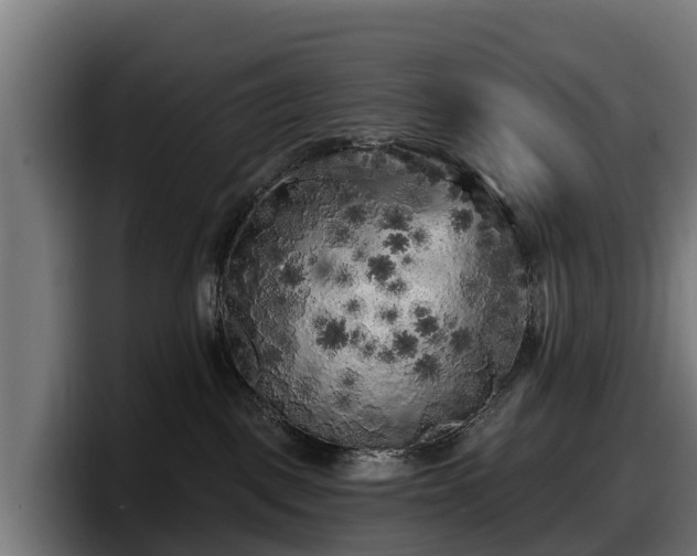 X0000097850093200803201546