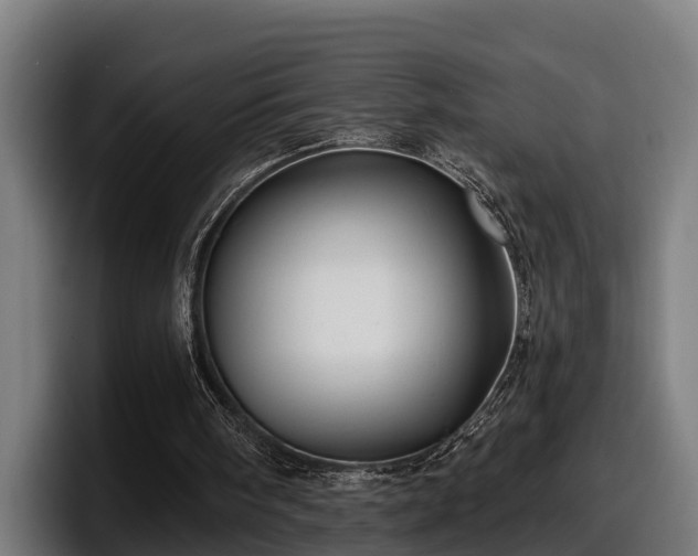 X0000097850098200803201546