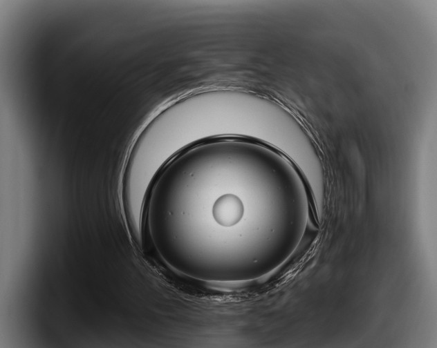 X0000097850100200803201546