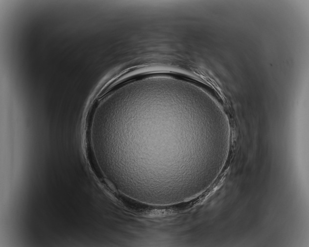 X0000097850101200803201546