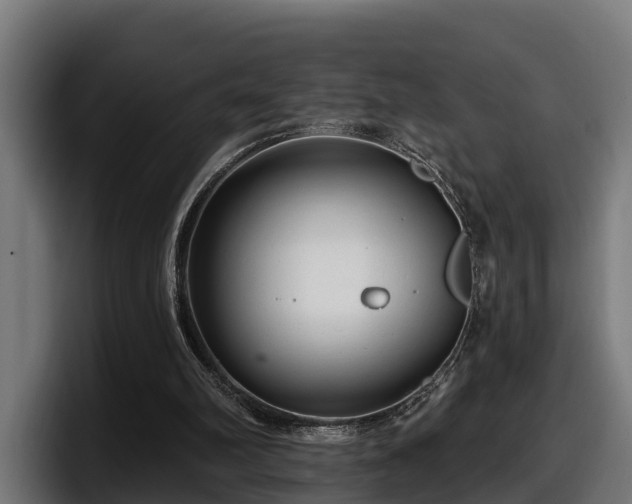 X0000097850102200803201546