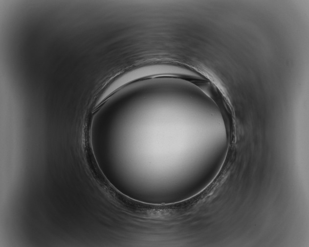 X0000097850105200803201546