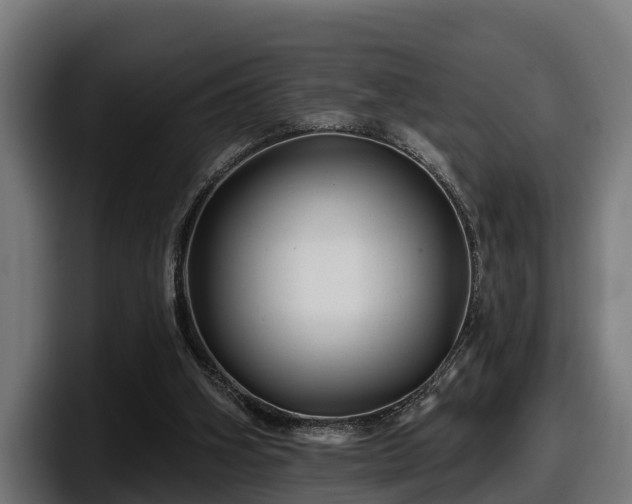 X0000097850106200803201546