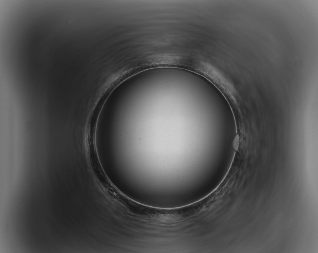 X0000097850107200803201546