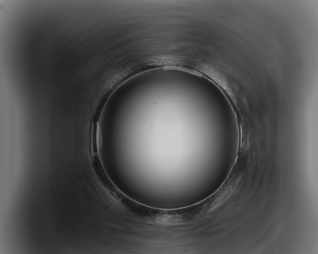 X0000097850109200803201546