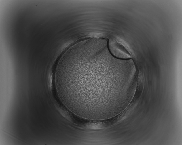 X0000097850110200803201546