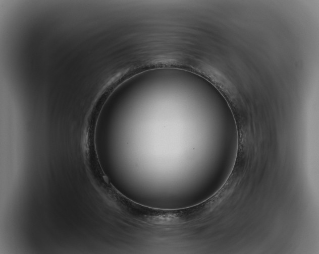 X0000097850112200803201546