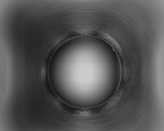 X0000097850113200803201546