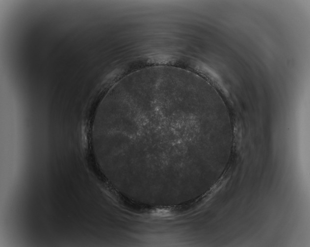 X0000097850114200803201546