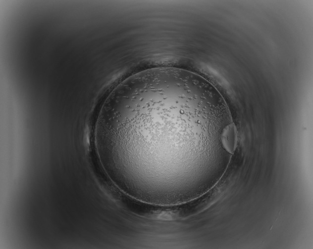 X0000097850115200803201546
