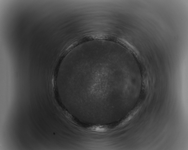 X0000097850117200803201546