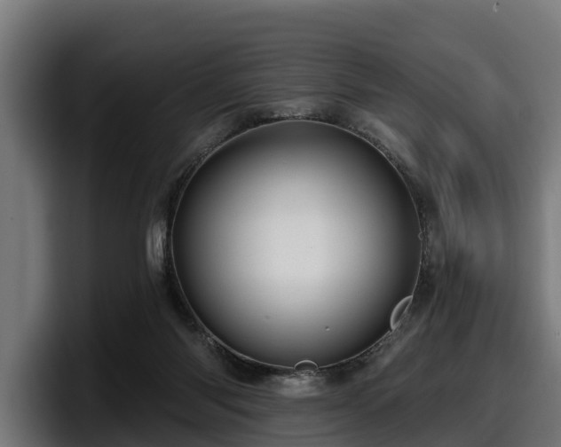 X0000097850118200803201546