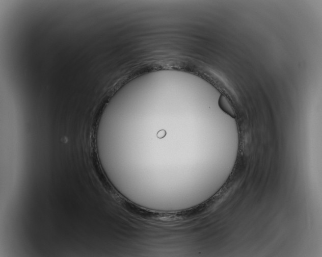 X0000097850121200803201546