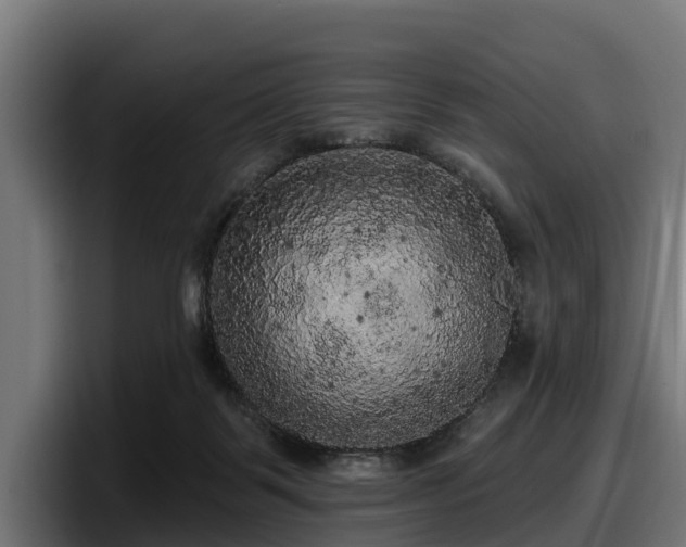 X0000097850123200803201545