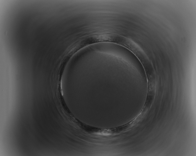 X0000097850124200803201545